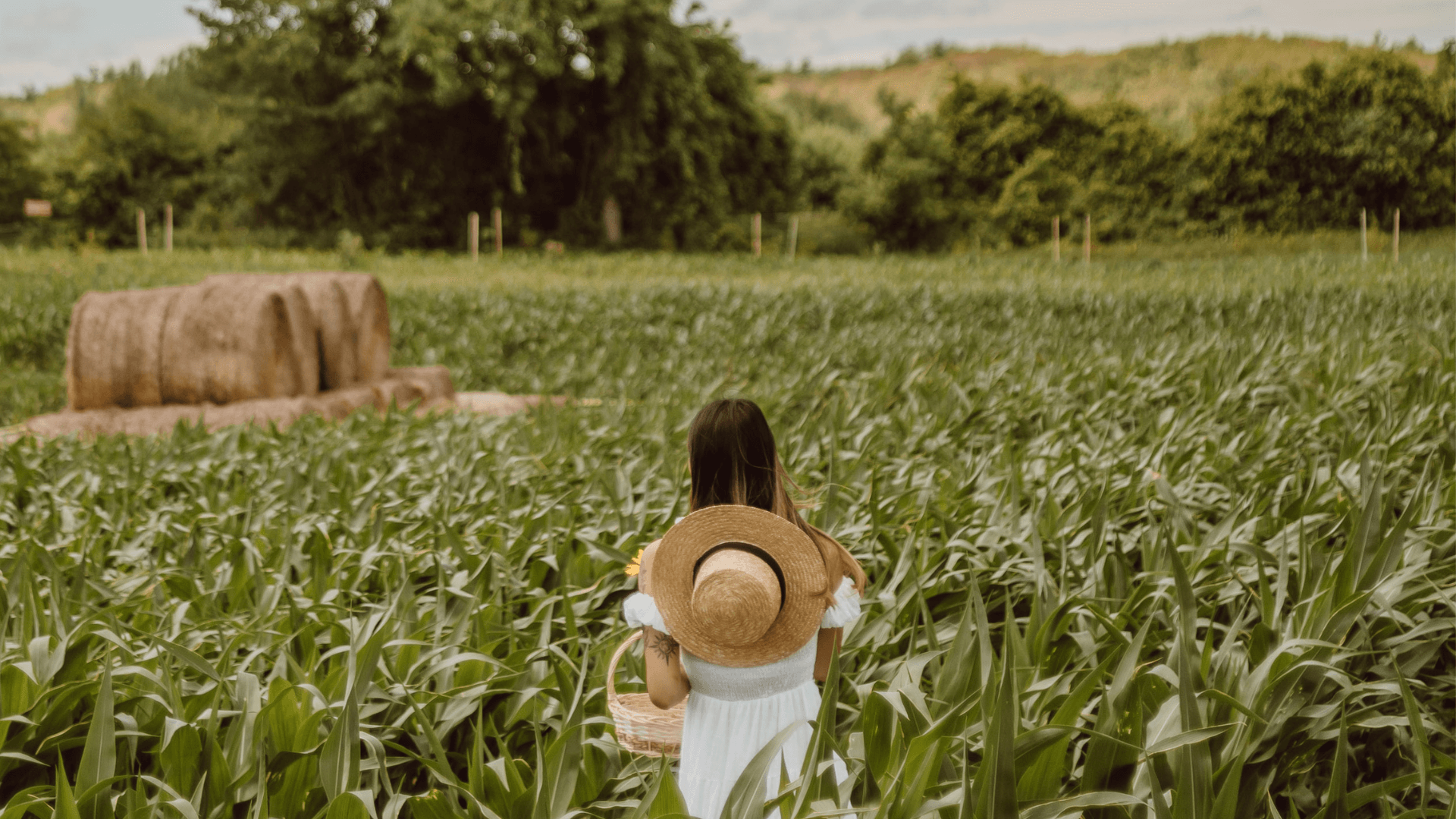The art of slow living